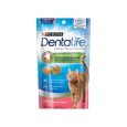 Savory Salmon Flavor Dental Cat Treats