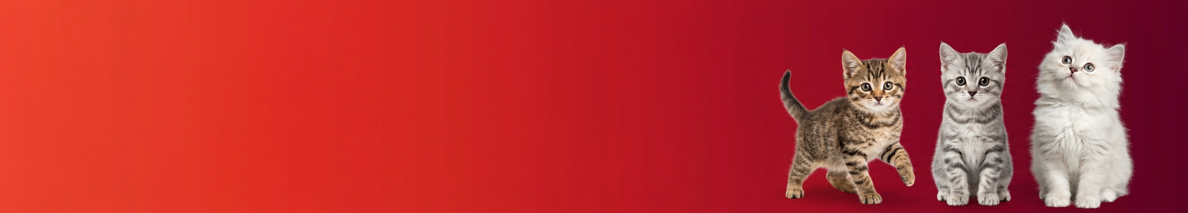 Horizontal_website_banner_design_with_empty_space_-1775424670362