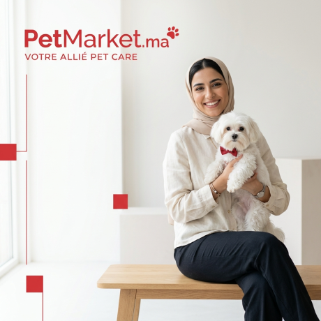 Minimalist_Instagram_post_design_for_PetMarketma-1775428192667