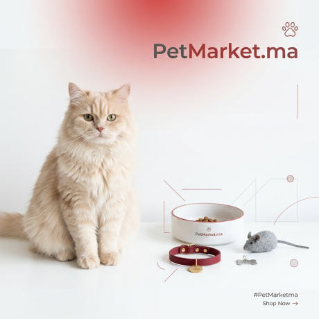 Minimalist_Instagram_post_design_for_PetMarketma-1775428195204